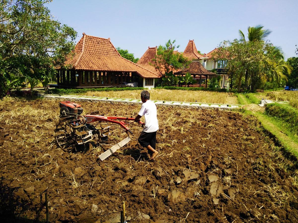 Java Village Resort By Homee Yogyakarta Sleman  Exterior foto